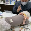 김수영 동물병원 이미지