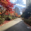 화정중학교 앞 이미지