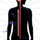 신경한의원 이미지