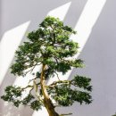 대지를 바라보며 이미지