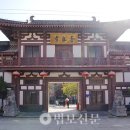 청룡사 이미지