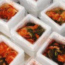 도리돌마을 네이버블로그