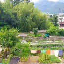 촌집민박 이미지