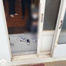 꽃비민박 | 제주도 꽃비민박 숙박 후기