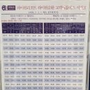 강원도 정선 하이원리조트 숙박 후기 1편ㅣ마운틴콘도 이모저모, 강원랜드 구경 간 이야기