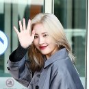 선미체형관리 마이데일리