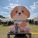 안녕!멍멍 | [대구]멍멍페스티벌 나드리~