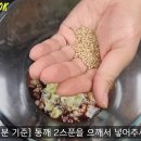 비빔국수 이미지