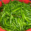 고추 간장에 삭히는방법＜간장에 삭히는법 &amp; 소금에 삭히는법＞| 이미지