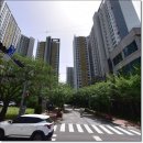 삼호초등학교병설유치원 이미지