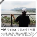예산시장 근처 숙소 구공스테이 해월 펜션 예산 감성숙소 추천
