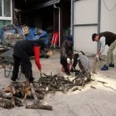 동곤농장 이미지