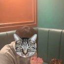 2020 코로나블루 극복하기 이미지