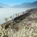 원동기사 이미지