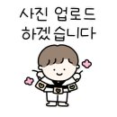 밝은빛 태권도 이미지