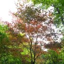 소요산1 이미지