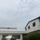 카페소을 | 안성 카페 추천! 안성 시바견 카페 ‘소을’ 메뉴 부터 방문 후기까지!