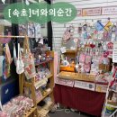 무상엠에스마트 | 속초 소품샵 추천 너와의순간 | 중앙시장 2층에서 발견한 볼꾸 체험 가능한 감성 소품샵