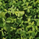 송정한의원 이미지