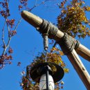 포니랜드 이미지