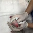 대치서울메디컬 이미지