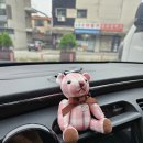 파츠몽