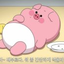 빵쌤 이미지