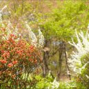 대원세차장 이미지