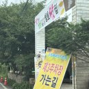 CU 함안법수점 | 함안 해바라기축제 강주 해바라기 마을 7월 9일 방문