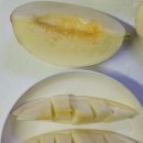 천안티엠알영농조합 | 천안 수신메론 | 매년 사먹는 백색 고당도 제철 멜론 후기 추천