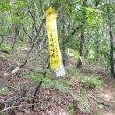 노고산 등산로 이미지