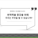 쌍디핵산