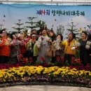 함평나비(무안) 이미지