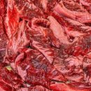 수원-1711 이미지