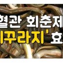 미꾸라지 효능. 이미지