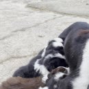 일명농장 이미지