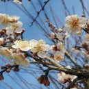 한자(서예)교실 이미지