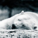 무한프린터 이미지