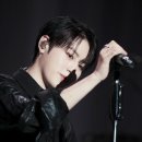 플레로마 이미지