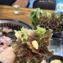 동동 | 여수 소호동맛집 돼지 특수부위 전문점 동동 후기