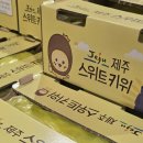 골드샤인 이미지