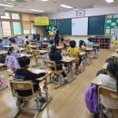 그루터기 이미지