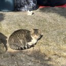 노고봉산성과 애기바위산성 | 단풍🍁,주차🚗, 코스후기(밤골매표소-마당바위-숨은벽능선-백운대-북한산성탐방지원센터)]고소공포증 있는...