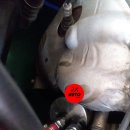 공임나라 북구점 이미지