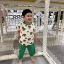 노리터 | 태안 노리터키즈카페 대근육발달에 좋은 실내 놀이터 어른들도 맥주로 힐링하고 왔네요 !