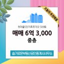 슬기로운부동산중개사무소 이미지