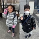 남양주 힘찬 태권도장 네이버블로그