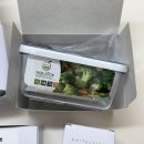 휴락 진공 밀폐용기 내돈내산 후기