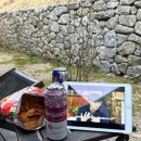 의림여관 우실 벚꽃여행 1박2일 [내돈내산후기]