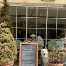 담금 젤라또 이미지